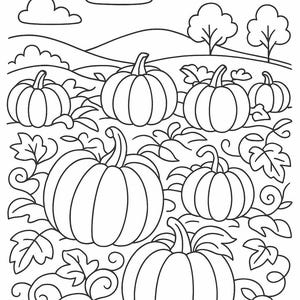 May include: Line art illustration of a pumpkin patch with several pumpkins of varying sizes. The pumpkins are surrounded by leaves and vines. The background features rolling hills, trees, and clouds. This image is suitable for coloring.