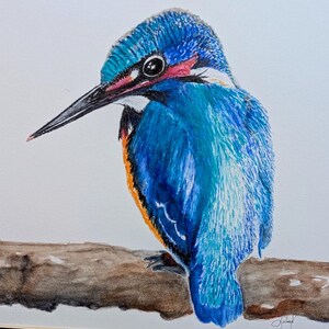 Puede incluir: Pintura a la acuarela de un martín pescador posado en una rama. El ave presenta un plumaje azul vibrante, un largo pico negro y detalles en naranja y rojo. La obra de arte está sobre un fondo blanco.