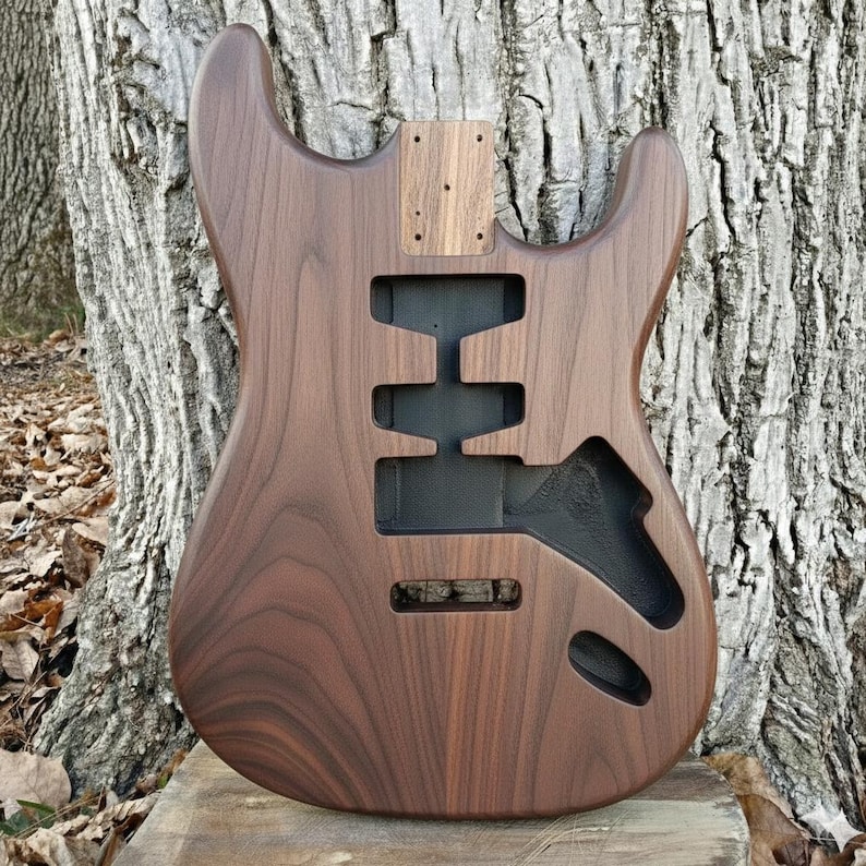 Puede incluir: Cuerpo de guitarra el&eacute;ctrica de madera marr&oacute;n sin terminar. Tiene recortes para pastillas, controles y m&aacute;stil. La veta de la madera es visible. El cuerpo de la guitarra se muestra contra un tronco de &aacute;rbol.