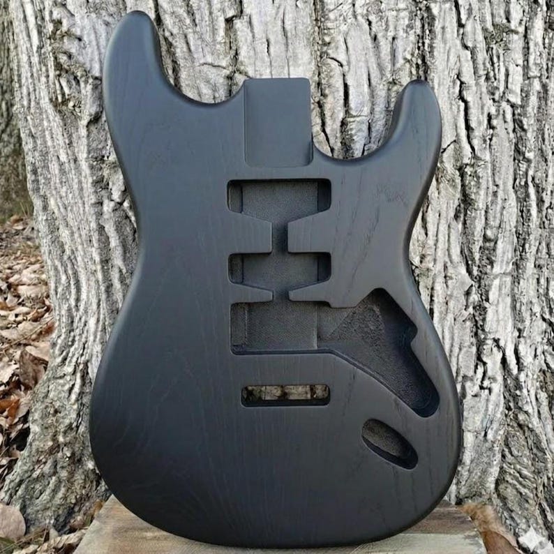 May include: A black guitar body with cutouts for pickups, controls, and neck. The body is made of wood and has a smooth, matte finish. The guitar body is shown against a textured tree trunk background.