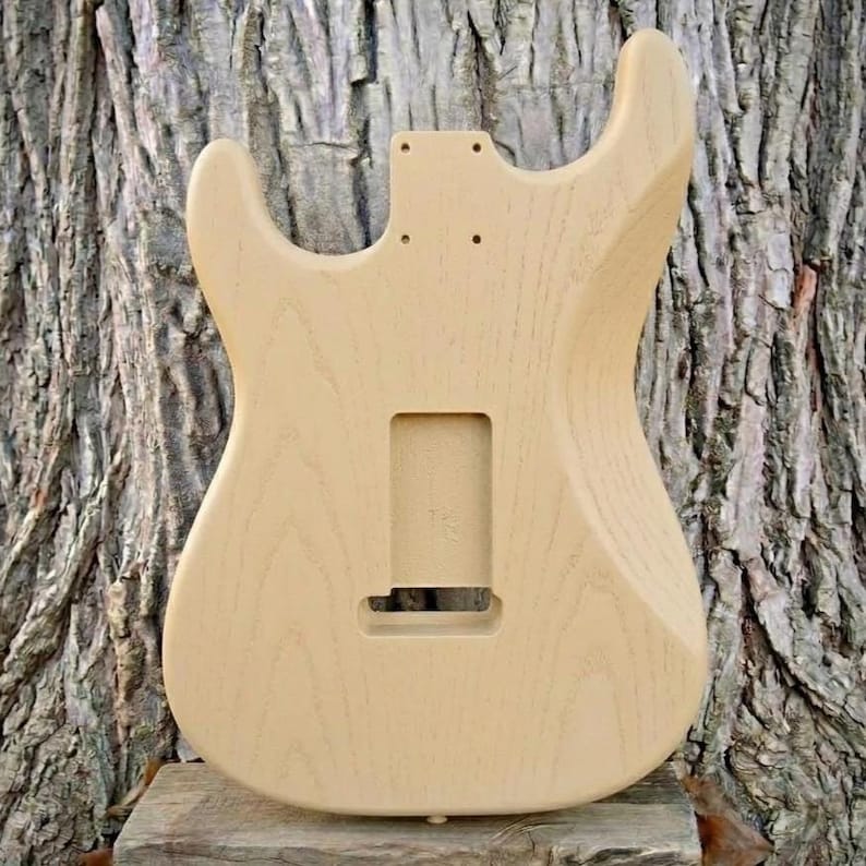 May include: A natural wood-colored guitar body, unfinished, with cutouts for the neck, pickups, and controls. The body has a smooth, sanded surface and is ready for finishing. The guitar body is set against a textured tree trunk background.