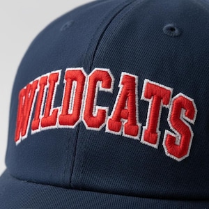 Side angle view of snapback hat featuring thick 3D puff varsity embroidery showing foam height and shadow depth