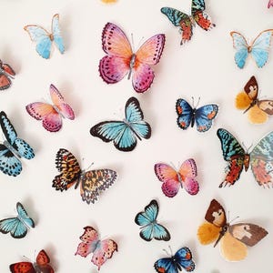 Butterfly Wall Decor, Butterfly Wall Stickers, 3D Butterfly Room Decor, Natural Butterfly Wall Art, Nursery Decor, Wedding Decorations