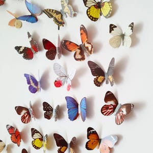 Butterfly Wall Decor, Butterfly Wall Stickers, 3D Butterfly Room Decor, Natural Butterfly Wall Art, Enchanted Decor for Bedroom Walls
