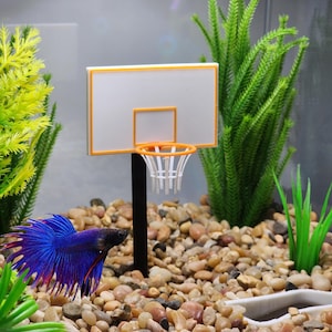 May include: A vibrant blue betta fish swims near a miniature basketball hoop in an aquarium. The hoop has a white backboard with an orange trim and a white net. The aquarium is decorated with green plants and small pebbles.