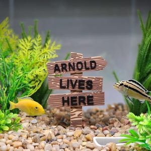 May include: A brown wooden sign with the text "ARNOLD LIVES HERE" in a fish tank. The sign is surrounded by gravel, plants, and two fish. The sign has a rustic, weathered appearance, and the text is in a bold, sans-serif font.