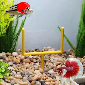 49ers fish tank accessories 49ers Fishing