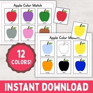 May include: An educational Apple Color Match activity set featuring two rectangular sheets with grids of illustrated apples in red, purple, green, gray, pink, brown, light blue, white, yellow, orange, black, and blue, plus two loose apple cards.