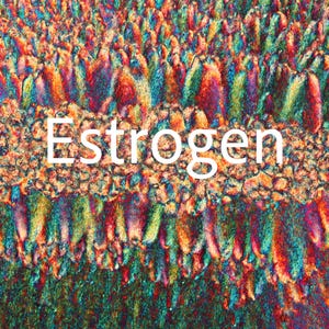 May include: Abstract image with a colorful, textured pattern. The image features a mix of red, blue, green, and yellow hues, with the word "Estrogen" in white text across the center. The overall effect is a vibrant, almost crystalline appearance.