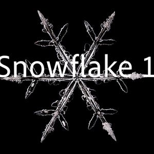May include: A detailed macro photograph of a snowflake against a black background. The snowflake is a symmetrical, six-pointed star shape with intricate, crystalline structures. The text "Snowflake 1" is displayed in white.