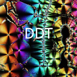 May include: Abstract image with a vibrant, multicolored pattern. The image features a kaleidoscope of colors, including orange, yellow, green, blue, and purple. The word "DDT" is displayed in white, centered on the image.
