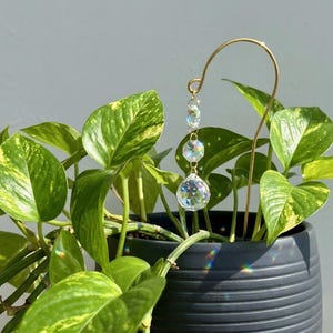 Peut inclure: Un tuteur de plante en métal doré avec trois sphères de cristal transparentes suspendues. Le tuteur est placé dans un pot noir et cannelé rempli de plantes de pothos vertes et jaunes. L'arrière-plan est un mur gris clair.