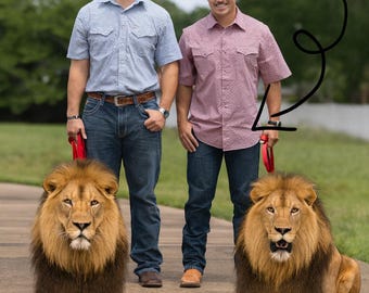 Servicio de edición de fotos: Eliminar persona, combinar fotos (descarga digital)