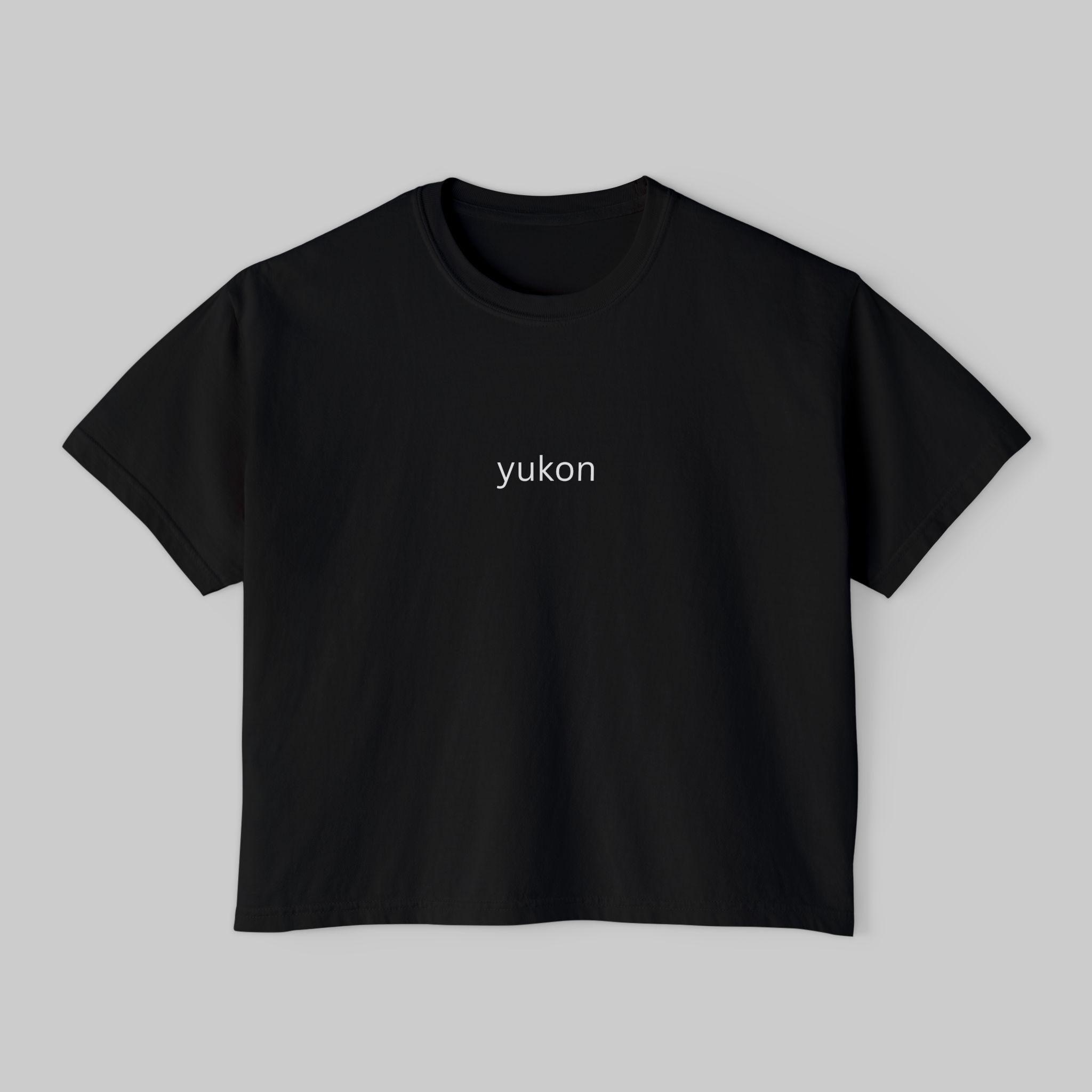 Justin Bieber Coachella 2026 Shirt - Etsy