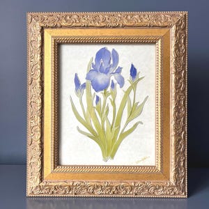 Vintage handmålad iris på glas, inramat botaniskt konstverk, utsmyckad förgylld ram, engelsk lantgårdsdekor, signerad väggkonst med blå iris