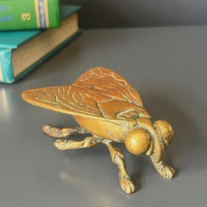 Può includere: Una statuetta in ottone a forma di mosca con ali finemente incise e una testa liscia e arrotondata. La scultura dell'insetto presenta zampe articolate e una finitura metallica color marrone dorato, che ne evidenzia la forma realistica.