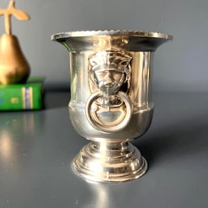 Può includere: Una coppa in metallo color argento lucido con bordo svasato e base a piedistallo. L'esterno è decorato con un rilievo prominente di una testa di leone che tiene un anello circolare in bocca, centrato sulla parte anteriore del corpo.