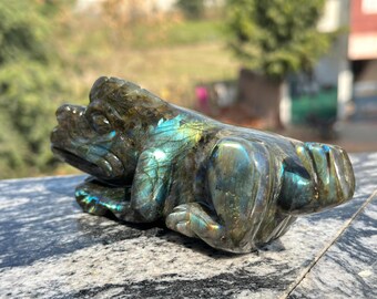 May include: A carved labradorite frog figurine. The frog is in a resting pose, with detailed features and a polished finish. The stone displays iridescent blue and green flashes.
