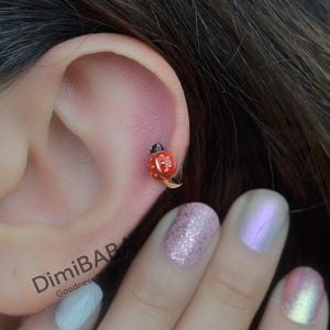 Helixoorbel lieveheersbeestje, gouden piercing, tragussieraden