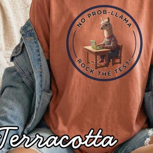 May include: Terracotta-coloured t-shirt with a circular graphic featuring a llama wearing overalls and a striped shirt, sitting at a desk with a laptop. The graphic reads "NO PROB-LLAMA ROCK THE TEST!"