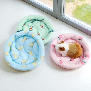 Puede incluir: Tres peque&ntilde;as camas para mascotas en colores pastel. Una es azul claro con patrones de pl&aacute;tanos, otra es verde claro con patrones de aguacates, y la tercera es rosa con patrones de melocotones. Un conejillo de indias descansa en la cama rosa.