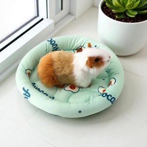 Puede incluir: Un conejillo de indias de peluche descansa sobre una cama redonda para mascotas de color verde claro. La cama tiene un estampado de huevos y texto. El conejillo de indias tiene pelaje marr&oacute;n, blanco y naranja. Una peque&ntilde;a planta suculenta en una maceta blanca est&aacute; en el fondo.