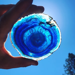 Sacred octopus agate
