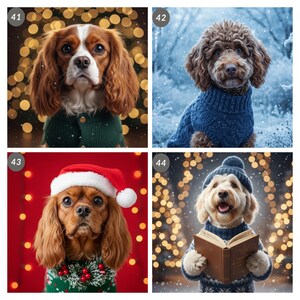 May include: Four images of dogs dressed in festive attire. One dog wears a green sweater, another a blue sweater, a third a Santa hat, and the last a hat and sweater while reading a book. The backgrounds feature bokeh lights and snow.