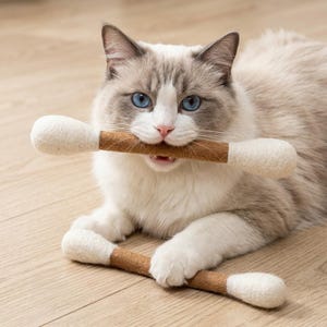 以下が含まれることがあります： 青い目をした長毛の猫が、茶色と白の大きな綿棒型のおもちゃを口にくわえており、もう一つ同じおもちゃが前足の間の床に置かれています。