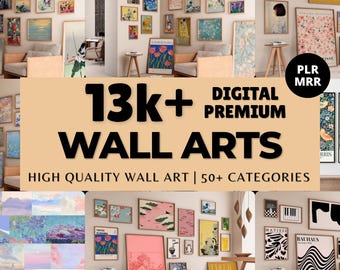 Pacchetto di oltre 13.000 stampe artistiche digitali da parete vintage, moderne e astratte PLR MRR