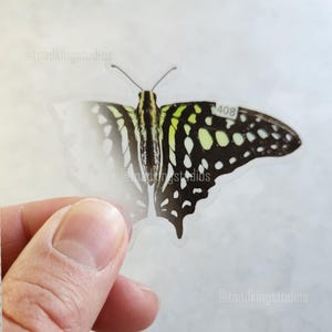 Op de afbeelding: Een doorzichtige sticker met een gedetailleerd vlinderontwerp. De vlinder heeft zwarte, witte en limoengroene markeringen, met het nummer "408" op één vleugel. De sticker wordt door een hand vastgehouden.