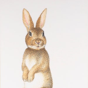 The Timid Rabbit - Original Art - Pen and Ink Drawing with Watercolor