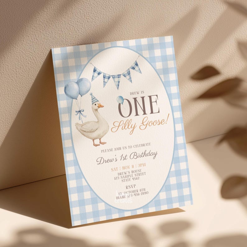 May include: A light blue and white gingham patterned birthday invitation. The invitation features a watercolor illustration of a goose wearing a party hat and holding balloons. Text reads "Drew is One Silly Goose!" and details for the party.