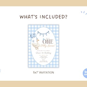 May include: A light blue and white gingham patterned invitation with the text "WHAT'S INCLUDED?" and "ONE Silly Goose!" The invitation features a cartoon goose, balloons, and a banner. The invitation is 5x7 inches.