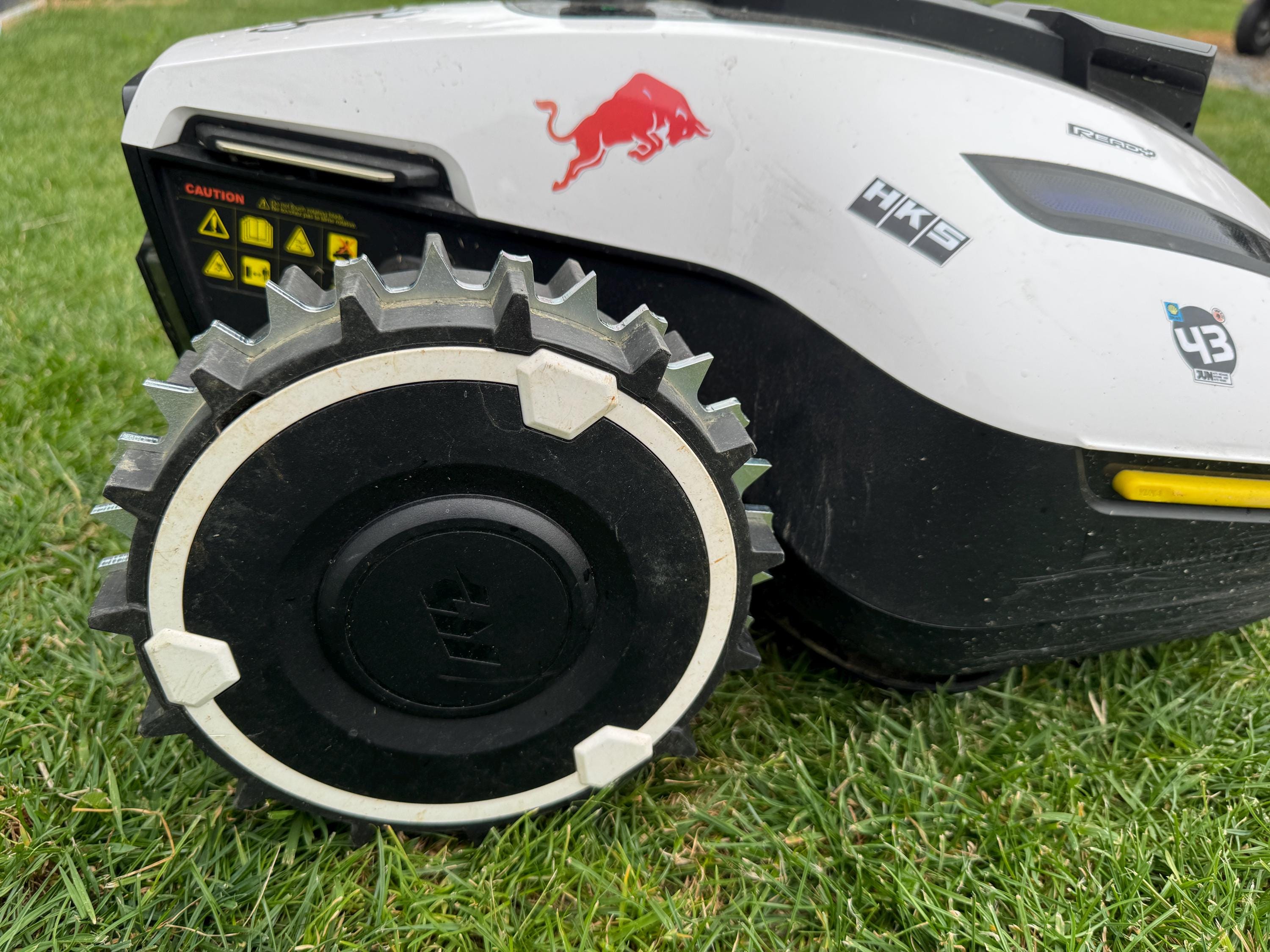 yuka⟡.·*. Yuka Mammotion - Etsy Canada