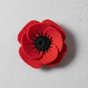 May include: A vibrant red felt poppy, a symbol of remembrance, with a black, stitched centre. The poppy is a handmade craft item, often worn on Remembrance Day. The petals are layered.
