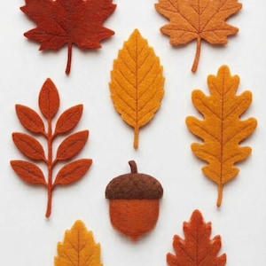 Patrón de hojas de otoño, conjunto n.° 1, patrón de adorno de fieltro de otoño