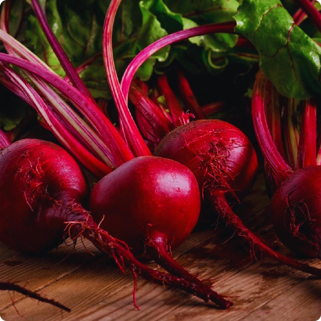 Ruby Vegetable Ruby Queen Beet Seeds | Heirloom Non-gmo Vegetable | 50 Beta Vulgaris ...
