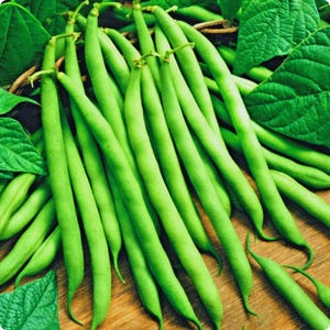 May include: A close-up shot of a pile of fresh green beans. The beans are a vivid green colour, long and slender, with a smooth texture. Some green leaves are visible in the background. The beans appear fresh and ready to eat.