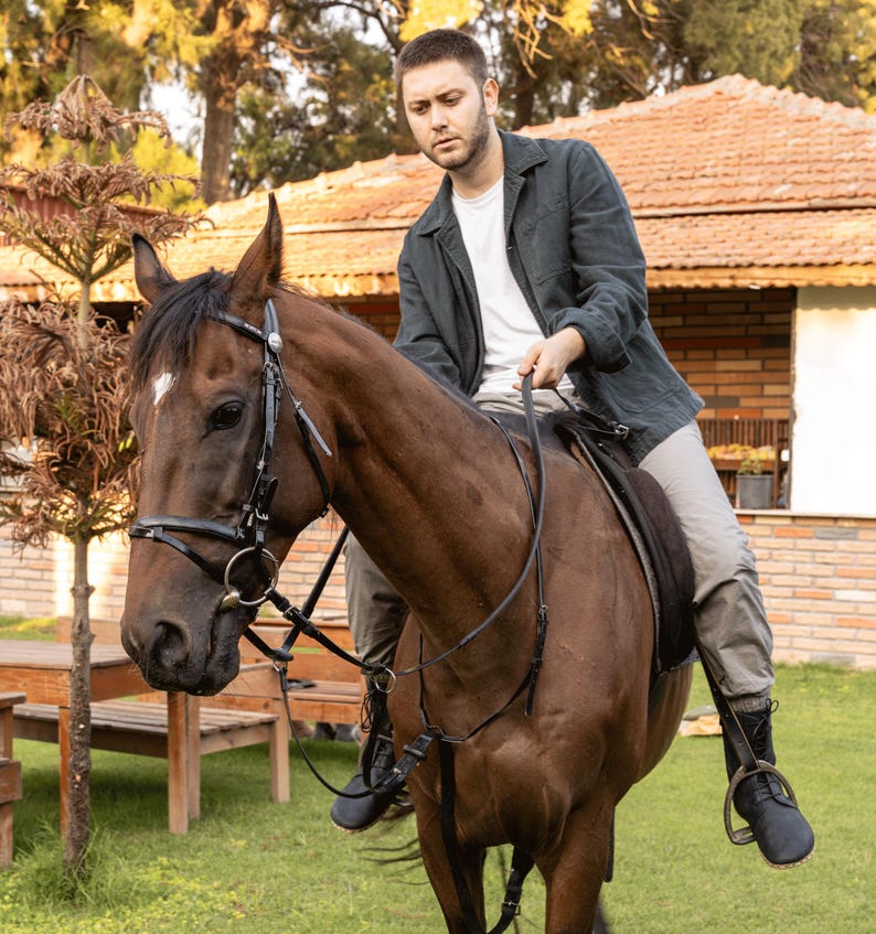 May include: A brown horse with a white marking on its forehead is ridden by a person wearing a dark green jacket and light pants. The horse is equipped with a black bridle and saddle. The scene takes place outdoors, with a building and trees in the background.