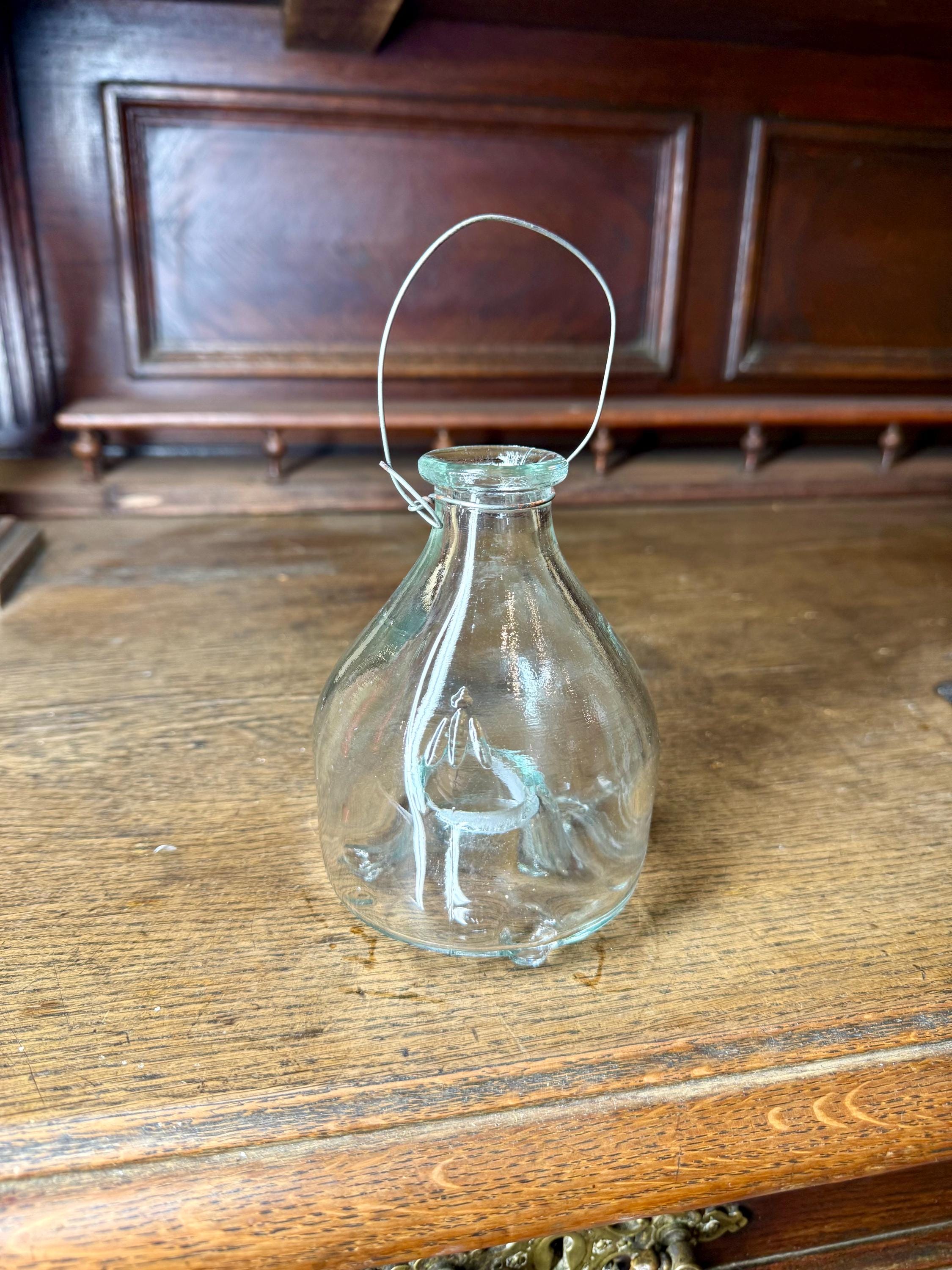 Blown Glass Fly Trap - Etsy