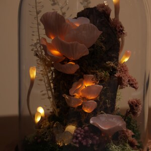 May include: A decorative glass cloche with a wooden base, showcasing a miniature illuminated mushroom and moss terrarium. The mushrooms are a soft pink, and the lights emit a warm glow, creating a whimsical and enchanting display.