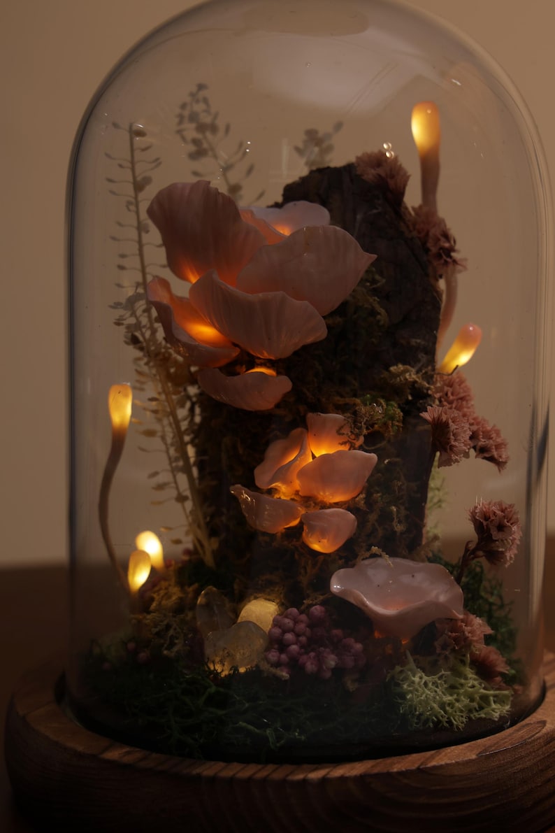 May include: A decorative glass cloche with a wooden base, showcasing a miniature illuminated mushroom and moss terrarium. The mushrooms are a soft pink, and the lights emit a warm glow, creating a whimsical and enchanting display.