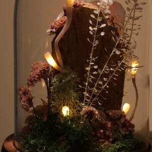 May include: A decorative glass cloche with a wooden base houses a miniature terrarium. Inside, a piece of wood is surrounded by moss, dried flowers, and delicate white plants. Small, glowing lights are scattered throughout the scene, creating a warm ambiance.