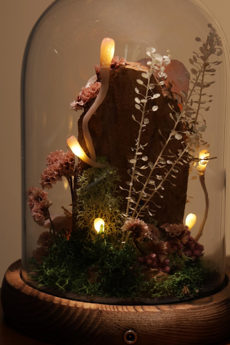 May include: A decorative glass cloche with a wooden base houses a miniature terrarium. Inside, a piece of wood is surrounded by moss, dried flowers, and delicate white plants. Small, glowing lights are scattered throughout the scene, creating a warm ambiance.