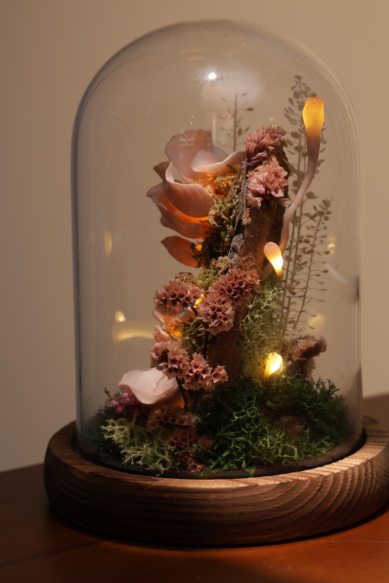 May include: A decorative glass cloche with a wooden base, showcasing a miniature botanical arrangement. The arrangement features pink flowers, green moss, and small lights, creating a whimsical and illuminated display. The cloche is a beautiful home decor item.