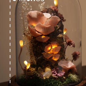 May include: A decorative terrarium under a glass dome, approximately 6 inches tall and 3.6 inches wide. It features illuminated pink mushrooms, moss, and crystals, creating a whimsical, nature-inspired display. The base is made of wood.