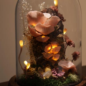 May include: A decorative glass cloche with a wooden base, showcasing a miniature illuminated mushroom and moss terrarium. The pink mushrooms and lights create a warm, inviting glow. The terrarium includes crystals and dried plants.