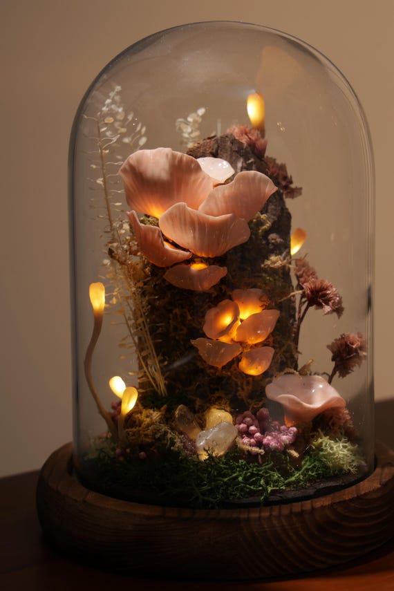 Handmade Mushroom Forest Night Light, Mushroom Table Lamp, Fairy Forest gift, Terrarium Lamp