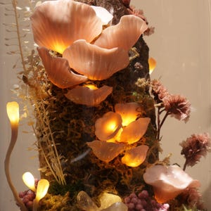 May include: A decorative terrarium featuring illuminated pink mushroom-like structures, moss, and other plant life under a glass dome. The warm lighting highlights the textures and colors of the miniature landscape, creating a whimsical display.